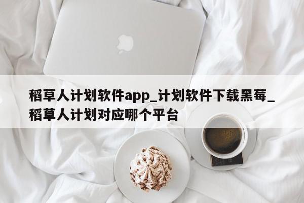 稻草人计划软件app_计划软件下载黑莓_稻草人计划对应哪个平台