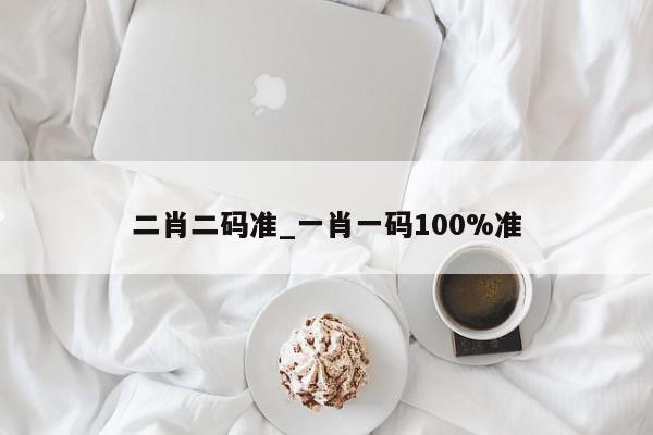 二肖二码准_一肖一码100%准